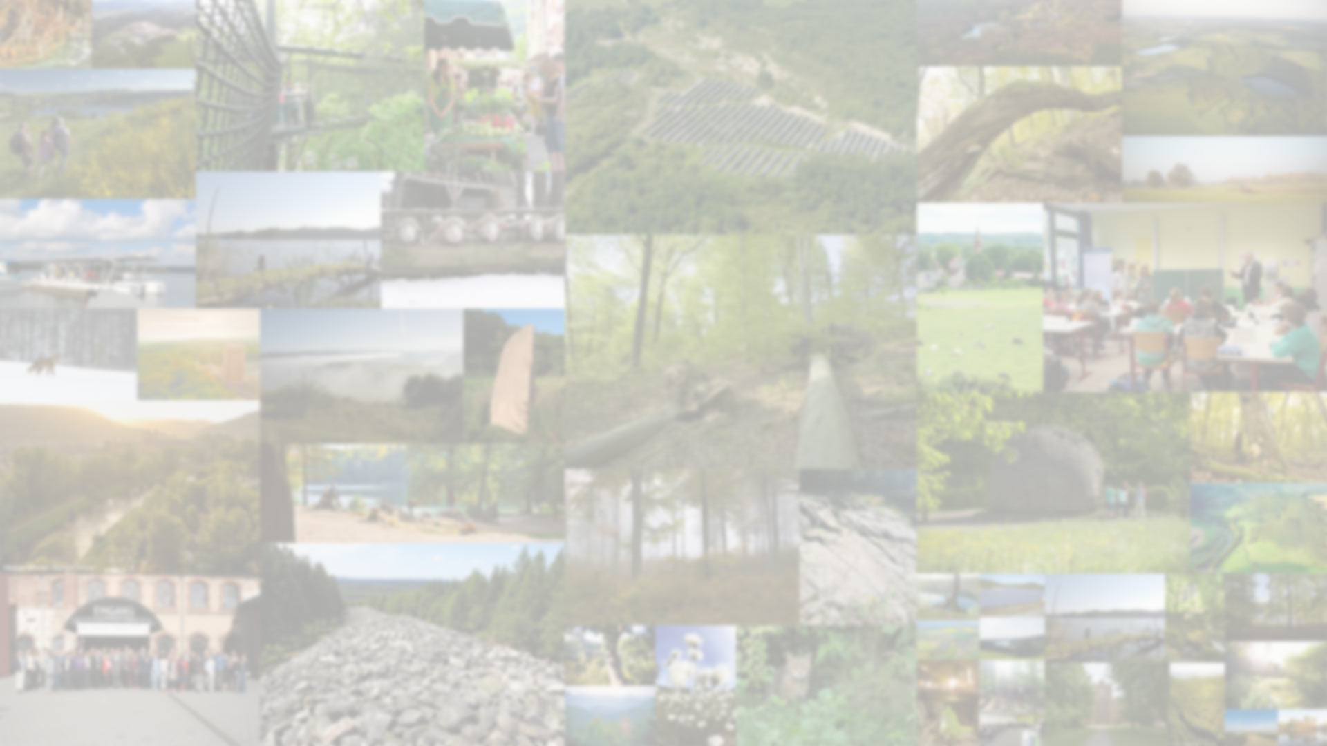 Homepage